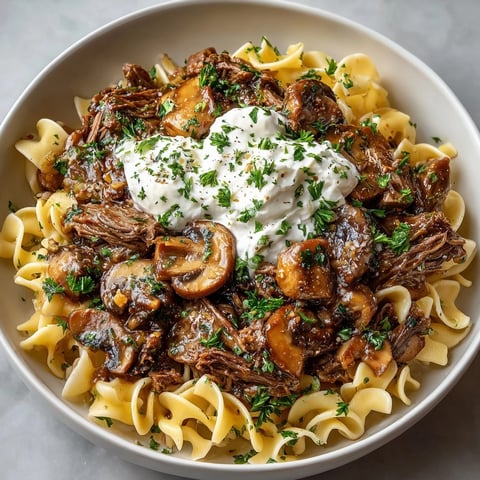 Creamy slow cooker beef stroganoff: rich, savory gravy ladled over egg noodles.